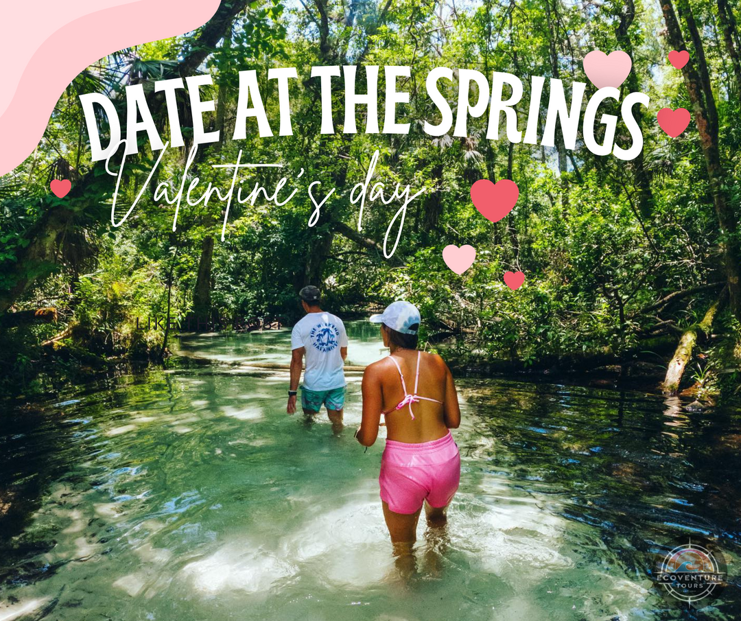 Date at the Springs | The Perfect Valentine's Day Adventure