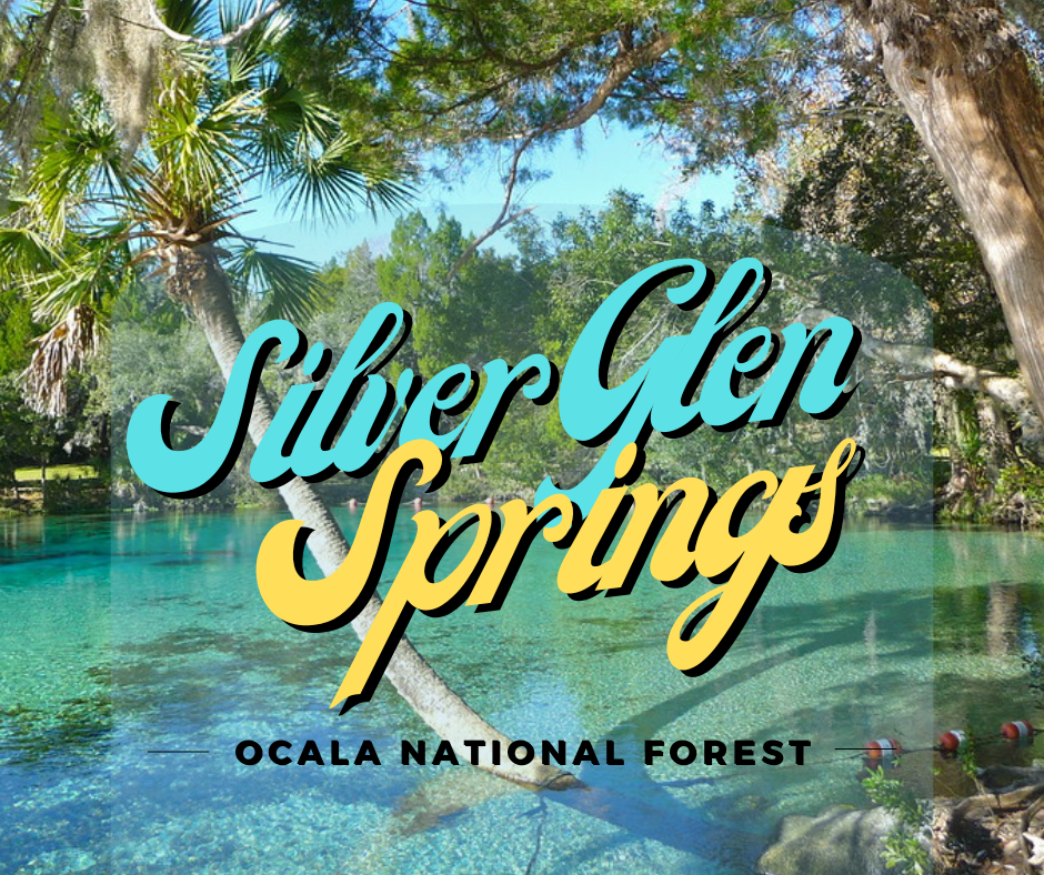Silver Glen Springs Ocala National Forest Florida Springs Passport