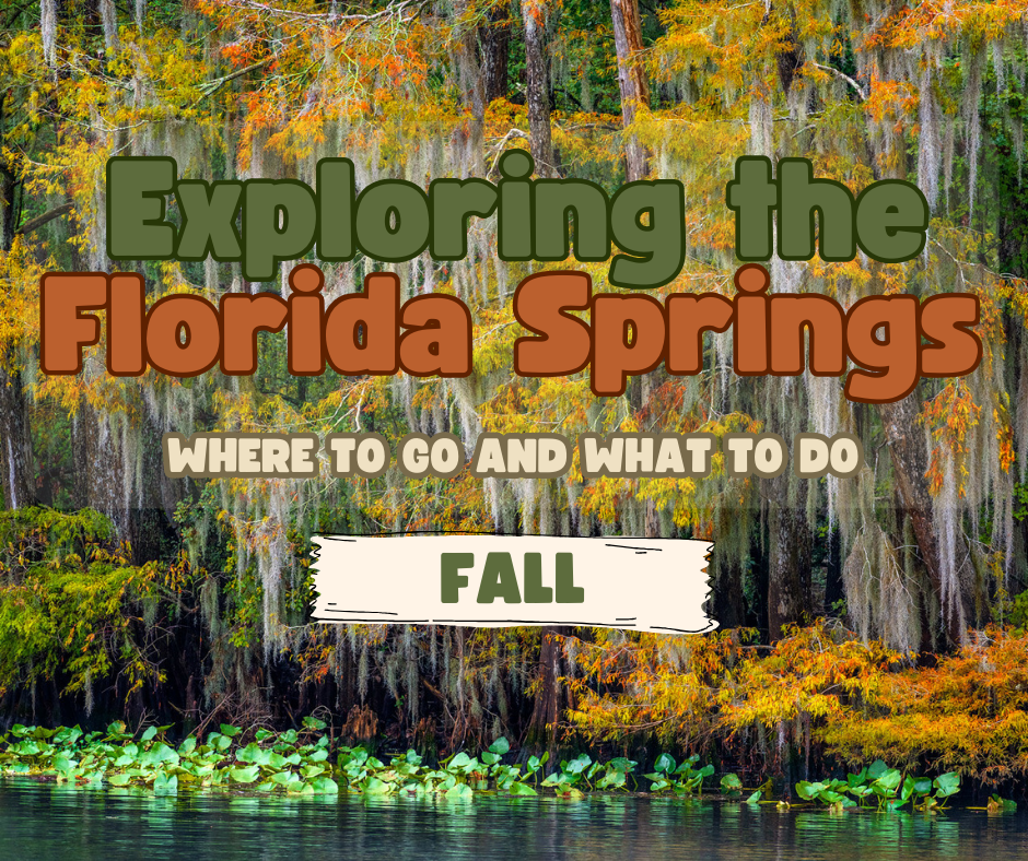 Exploring the Florida Springs in the Fall | Where To Go and What To Do