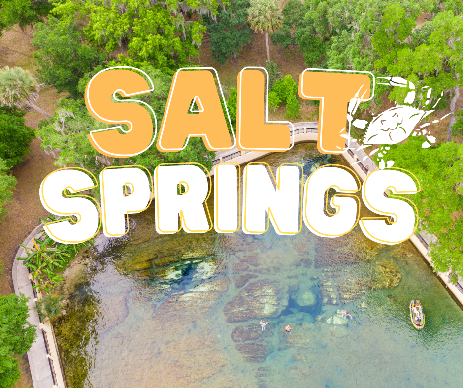 National Forests in Florida - Salt Springs Recreation Area