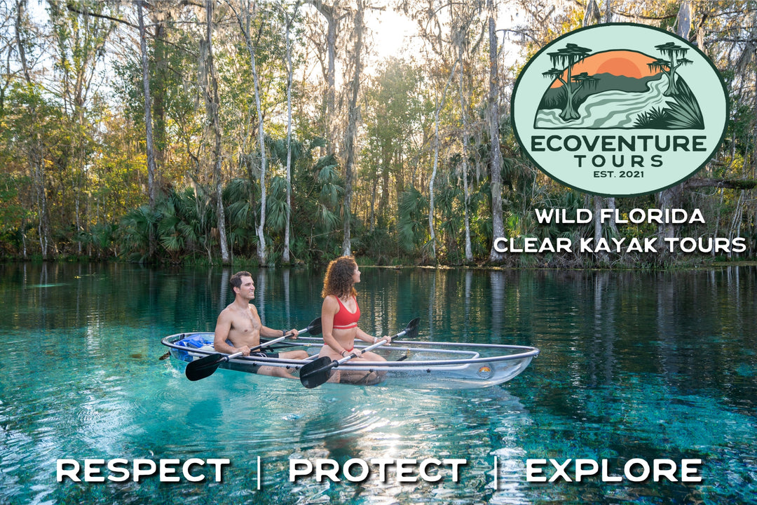 Ecoventure Tours | Clear Kayaks & Paddle Boards