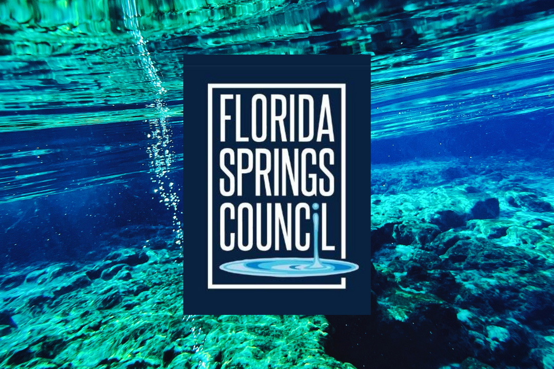 Florida Springs Council | Florida Springs Nonprofit