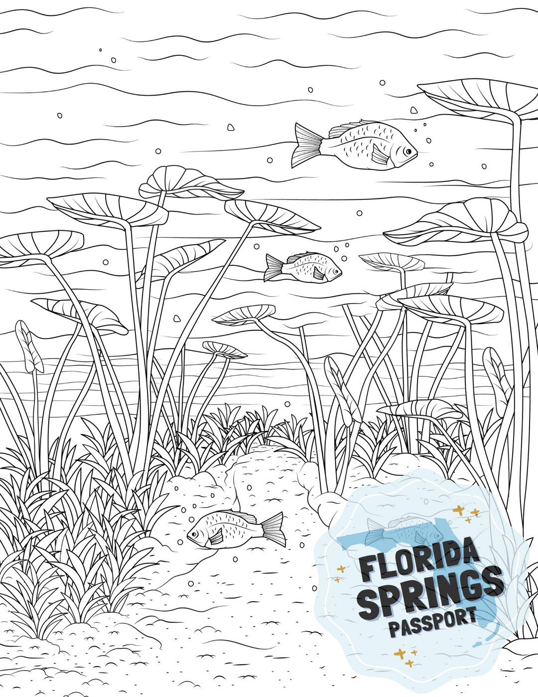 Florida Springs Coloring Pages