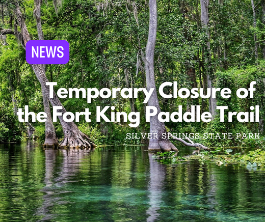 Temporary Closure of  the Fort King Paddle Trail | Silver Springs State Park