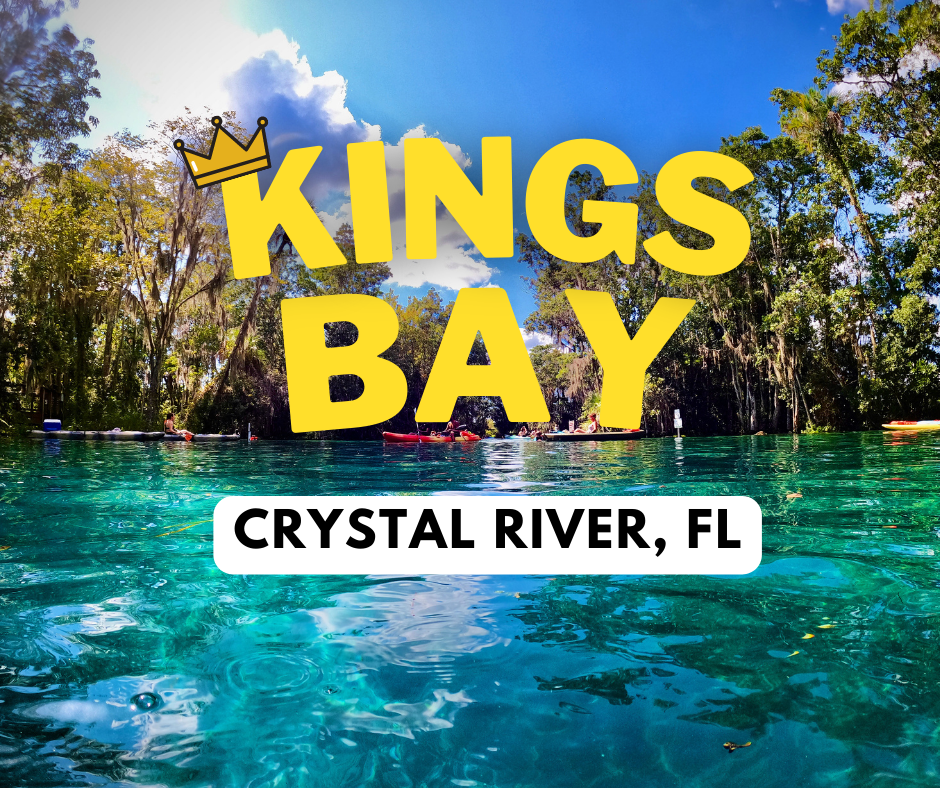 Kings Bay | Crystal River National Wildlife Refuge - Florida Springs Passport