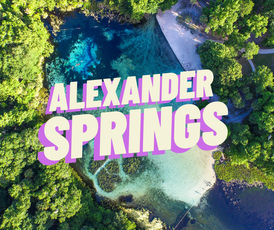 Alexander Springs Ocala National Forest Florida Springs Passport