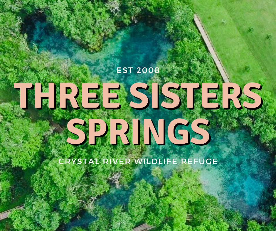 Three Sisters Springs | Crystal River