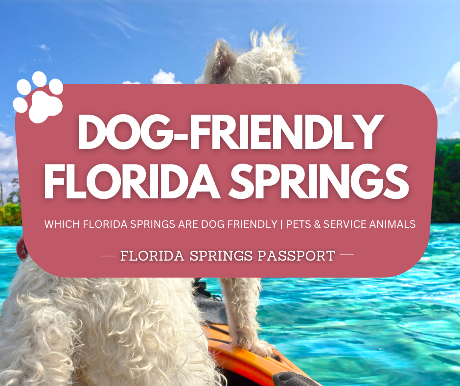 Which Florida Springs are Dog-Friendly | Pets & Service Animals