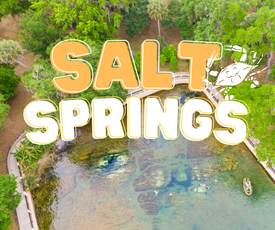 Salt Springs | Ocala National Forest