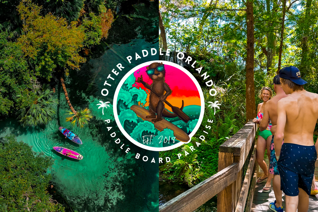 Otter Paddle Orlando | Paddle Board Paradise