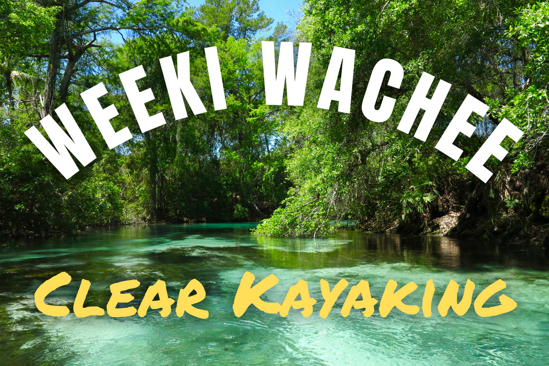 Get Up and Go Kayaking - Weeki Wachee Springs | Clear Kayak and Paddle Board Tours