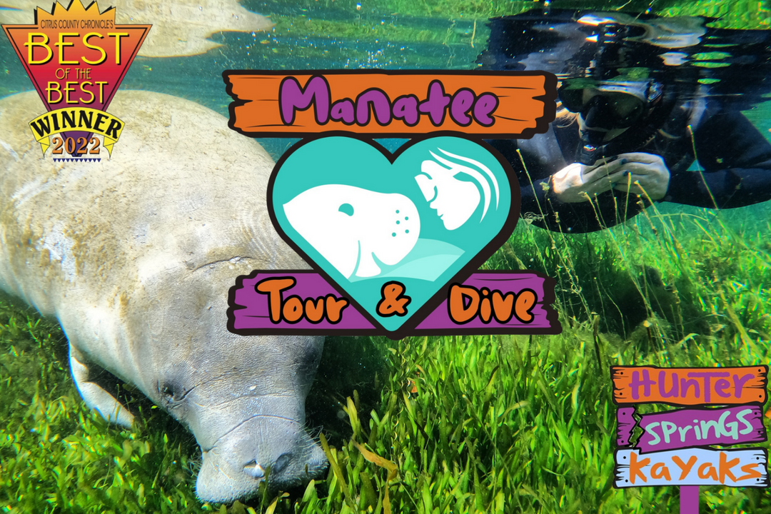 Manatee Tour & Dive | Hunter Springs Kayaks & Tours