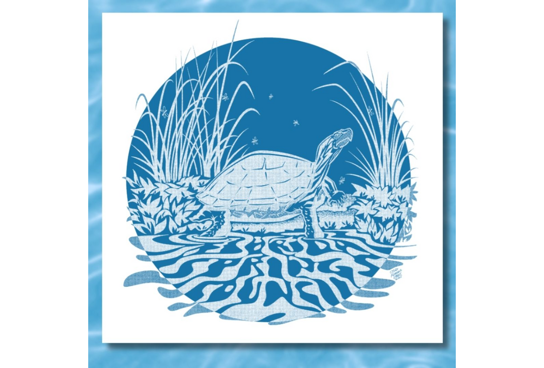 Cool Turtle UV Long Sleeve Shirt (No Hood)